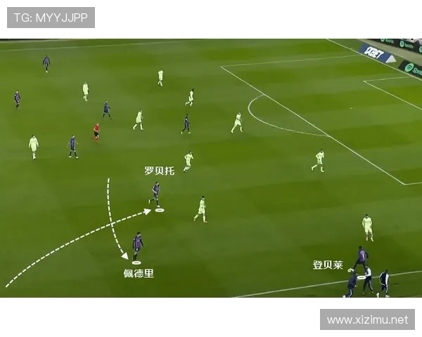 佩德里是否只是体系中场 战术角色与独立价值分析