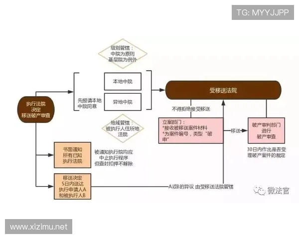 全面解析篮球裁判判罚流程的规则依据与具体执行标准步骤