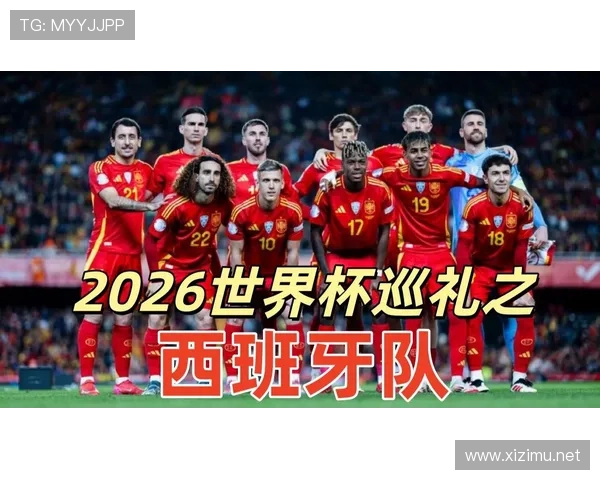 世界杯H组战术体系深度解读